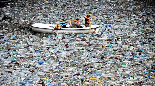 People are cleaning up garbage in the river