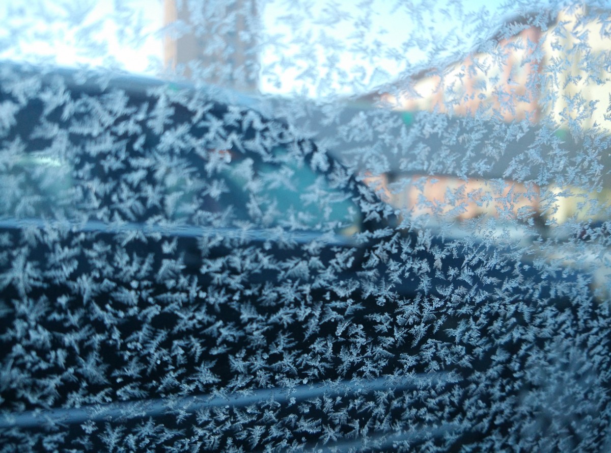 winter_frost_flower_car_window